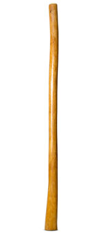 Gloss Finish Didgeridoo (TW1431)